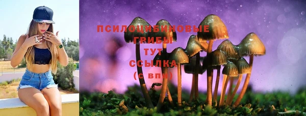 прущие грибы Абдулино