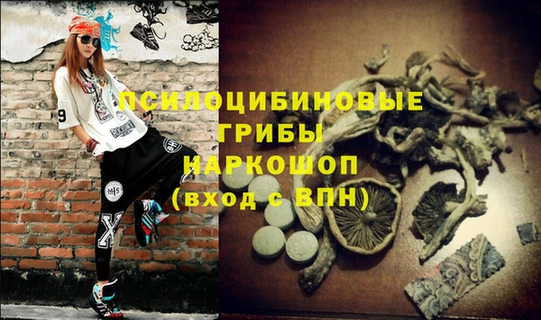 прущие грибы Абдулино