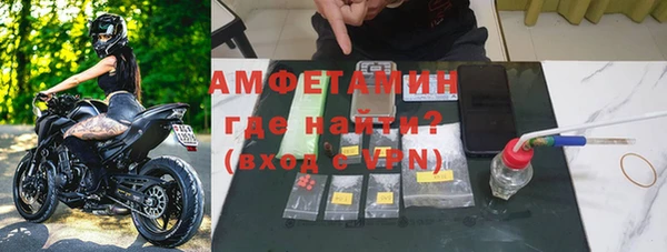 прущие грибы Абдулино