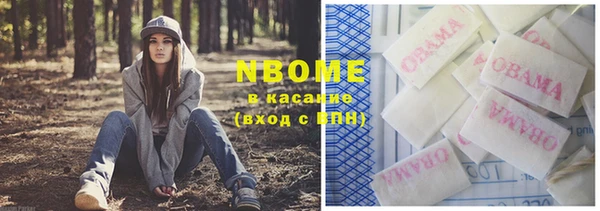 прущие грибы Абдулино