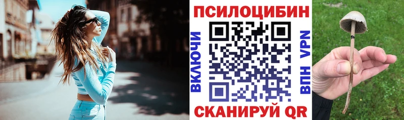 даркнет сайт  Южа  Псилоцибиновые грибы мухоморы 